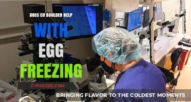 CU Boulder's Support for Egg Freezing: What You Need to Know