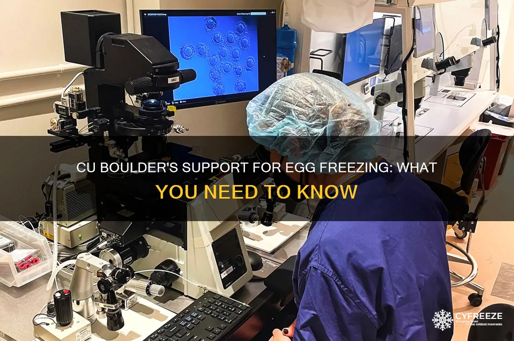 does cu boulder help with egg freezing