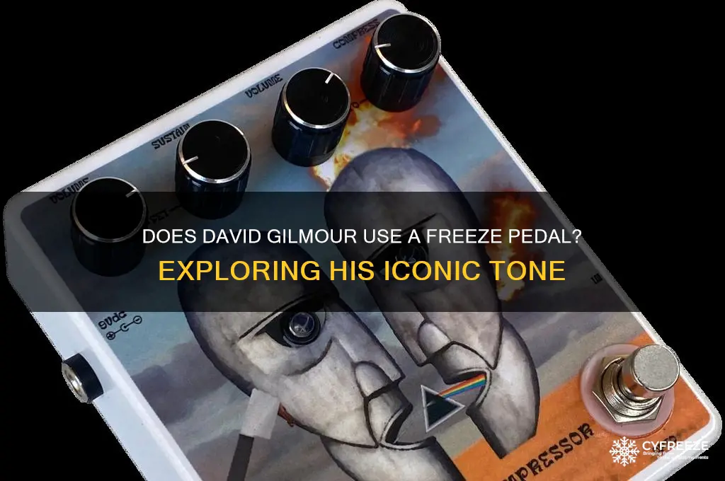 does david gilmore use a freeze pedal