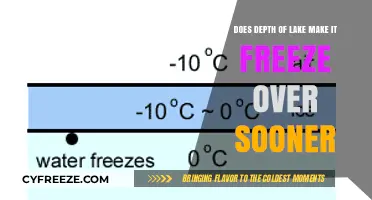 Exploring the Impact of Lake Depth on Freezing Times