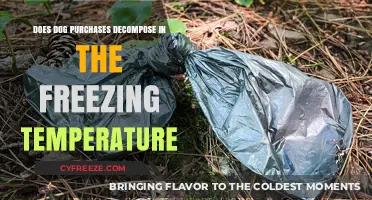 Do Dog Poop Bags Decompose in Freezing Temperatures? The Truth