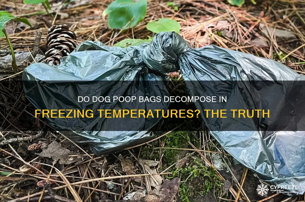 does dog purchases decompose in the freezing temperature