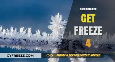 Does Domingo Freeze in Winter? Exploring the Myth of Freeze 4