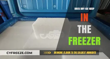Chilling Facts: The Ultimate Guide to Dry Ice Storage