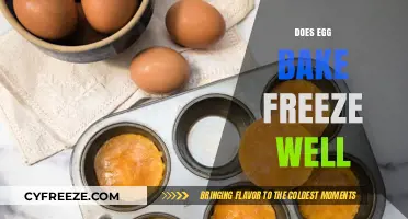Can You Freeze Egg Bake? Tips for Perfect Storage and Reheating