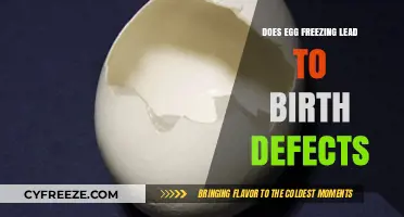 Egg Freezing and Birth Defects: Separating Facts from Myths
