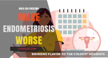 Exploring the Connection: Egg Freezing and Endometriosis Symptoms