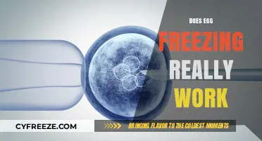 Egg Freezing Success: Real Results, Myths, and What to Expect
