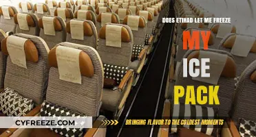 Etihad's Ice Pack Policy: Can You Freeze Yours Onboard?