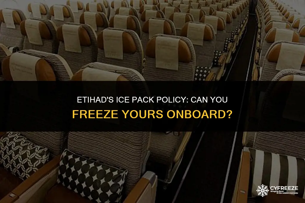 does etihad let me freeze my ice pack