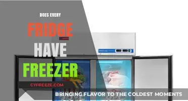 Exploring the Essentials: Do All Refrigerators Come with Freezers?