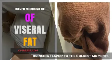 Fat Freezing and Visceral Fat: Separating Fact from Fiction