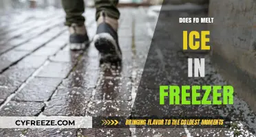 Exploring the Science: Can FD Safely Melt Ice in Your Freezer?