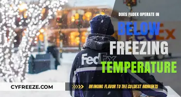 FedEx Winter Operations: Delivering in Below-Freezing Temperatures