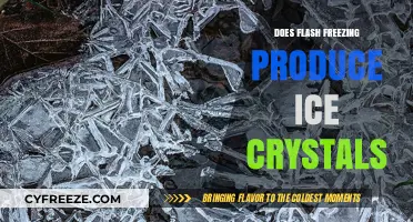 The Science Behind Flash Freezing: Ice Crystal Formation Explained