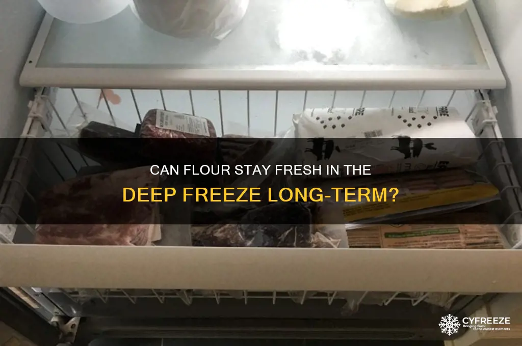 does flour get old if left in deep freeze