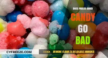 The Shelf Life of Freeze-Dried Candy: Does It Go Bad?