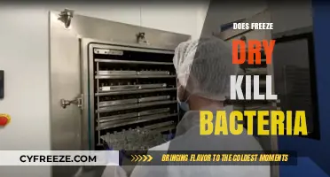 The Truth About Freeze-Drying: Does It Really Kill Bacteria?