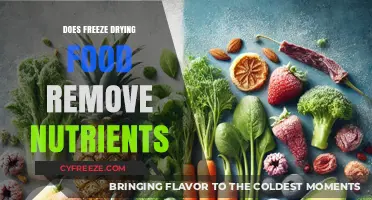 Preserving Nutrition: The Truth About Freeze Drying Food
