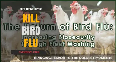 Exploring the Effectiveness of Freeze Drying Against Bird Flu
