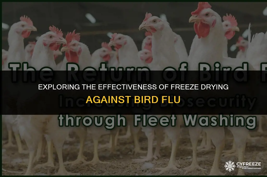 does freeze drying kill bird flu