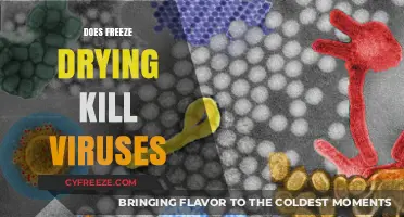 The Truth About Freeze Drying: Does It Really Kill Viruses?