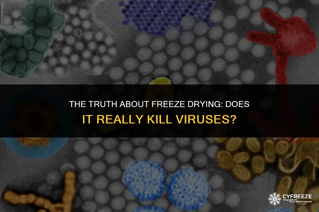 does freeze drying kill viruses