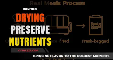 Nutrient Preservation in Freeze-Drying: A Comprehensive Analysis