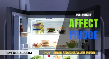 Chill Factor: How Your Freezer Impacts Your Fridge's Efficiency