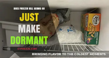 Chilling Truth: Freezer's Effect on Germs - Dormancy or Death?