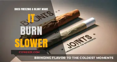 The Chill on Your Blunt: Does Freezing Really Slow the Burn?