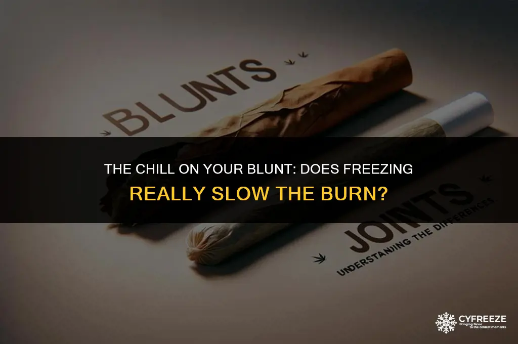 does freezing a blunt make it burn slower