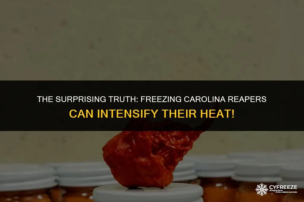 does freezing a carolina reaper make it hotter
