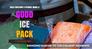 Chill Out: The Surprising Benefits of Freezing Your Sponge