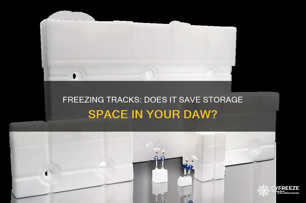 does freezing a track use less space