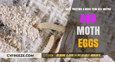 Freezing Wool: Effective Moth and Egg Elimination Method?