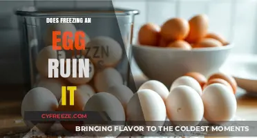 Does Freezing Eggs Affect Quality? Debunking Myths About Frozen Eggs