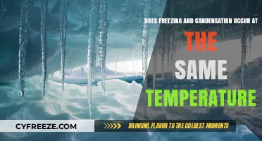 Freezing and Condensation: Do They Occur at the Same Temperature?