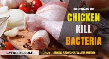 The Truth About Freezing Bad Chicken: Does It Kill Bacteria?