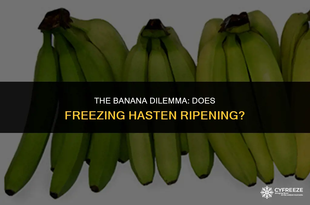 does freezing bananas make them ripen faster