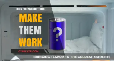 The Myth Buster: Does Freezing Batteries Really Make Them Last Longer?