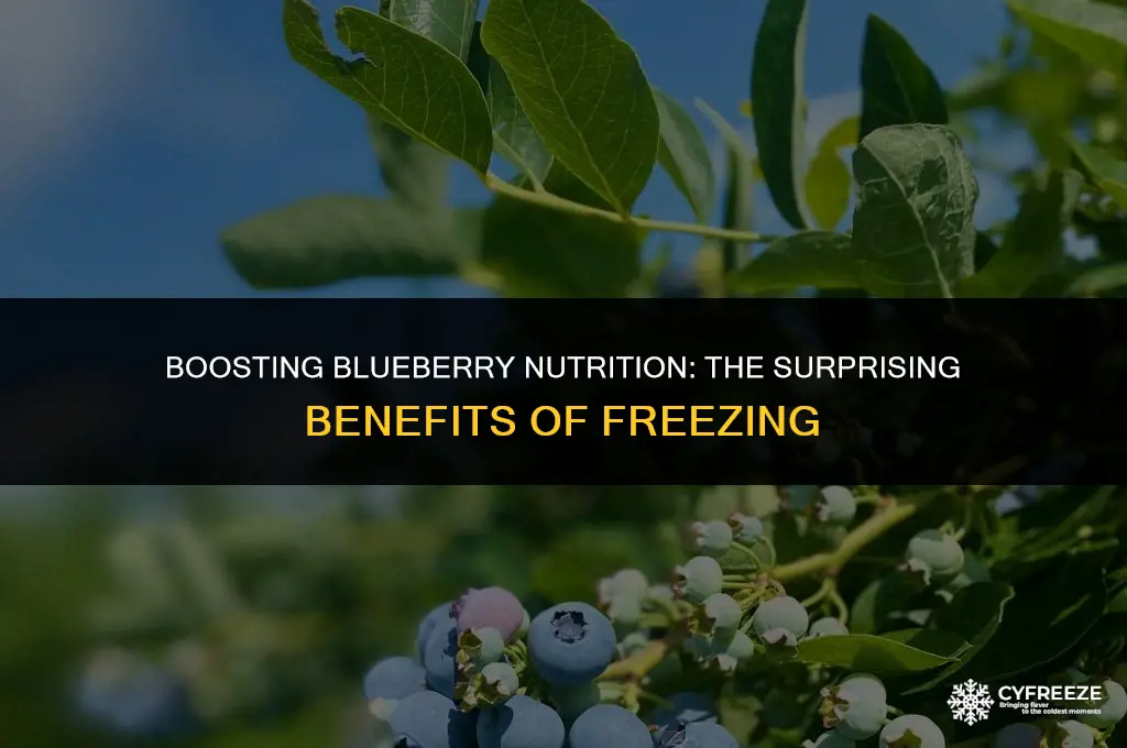 does freezing blueberries make them healthier