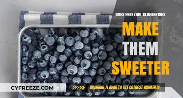 The Sweet Truth: How Freezing Blueberries Enhances Their Natural Sugars