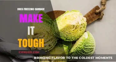 The Impact of Freezing on Cabbage Texture: Tough or Tender?