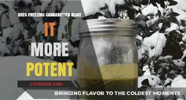 Exploring the Effects of Freezing on Cannabutter Potency