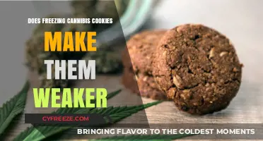 The Chill on THC: Does Freezing Cannabis Cookies Dampen Their Potency?