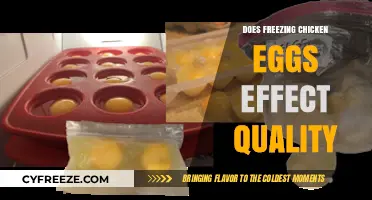 The Impact of Freezing on Chicken Egg Quality: A Comprehensive Guide