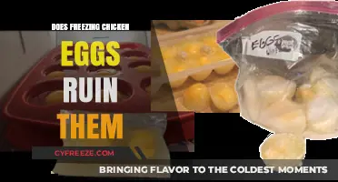 The Great Debate: Freezing Chicken Eggs - Ruin or Rescue?