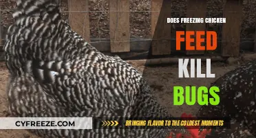 The Cold Truth: Freezing Chicken Feed to Bug-Proof Your Flock