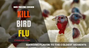 Chilling Truth: Can Freezing Really Kill Bird Flu in Chicken?